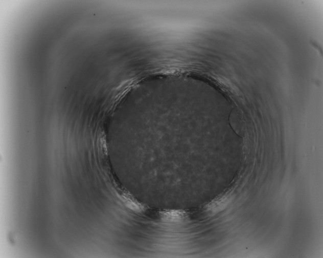 X0000097510432200802291622