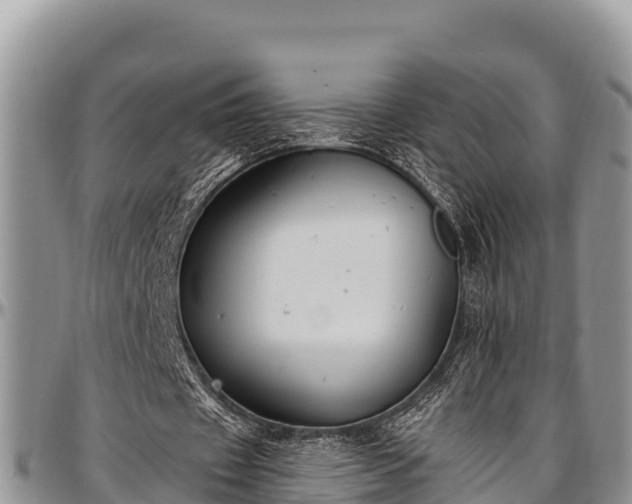 X0000097510433200802291622