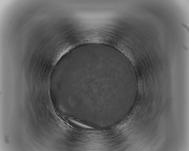 X0000097510434200802291622