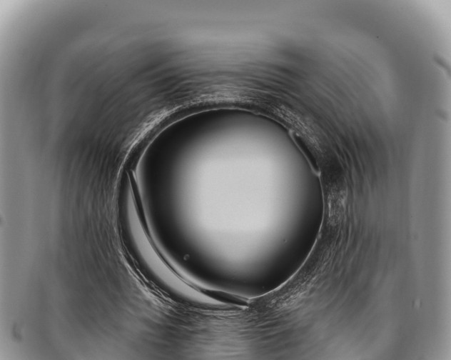 X0000097510436200802291622