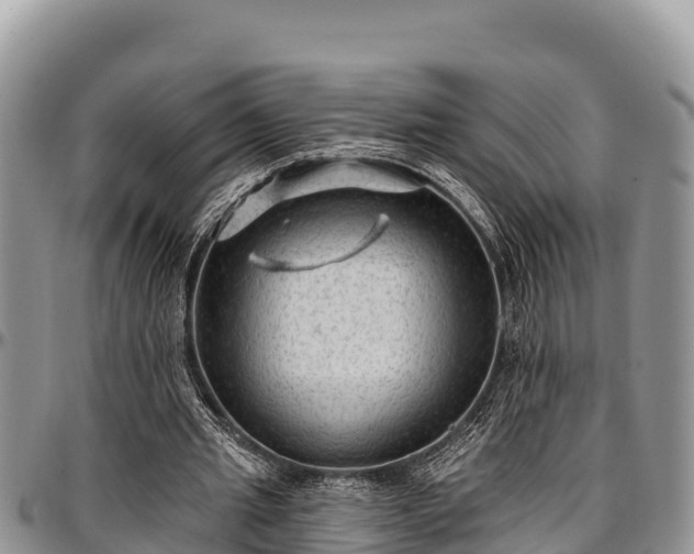 X0000097510437200802291622