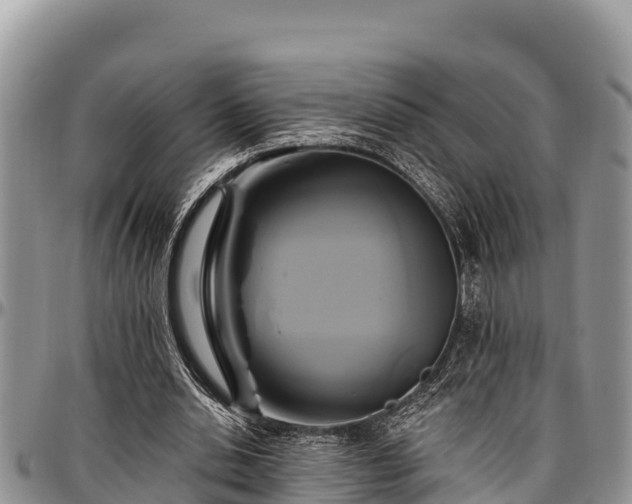 X0000097510438200802291622