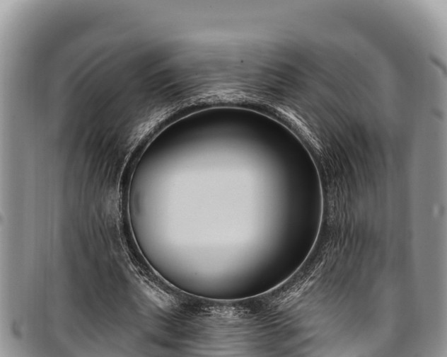 X0000097510439200802291622