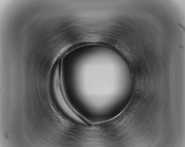 X0000097510440200802291622