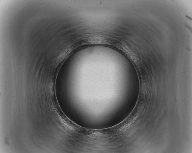 X0000097510441200802291622