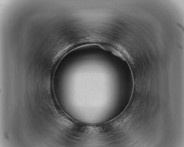 X0000097510442200802291622