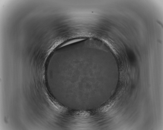 X0000097510443200802291622