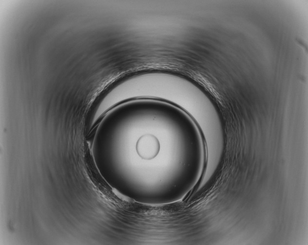 X0000097510444200802291622