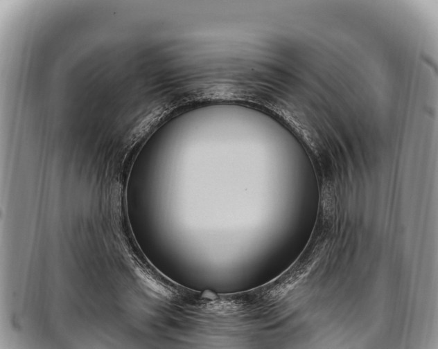 X0000097510445200802291622