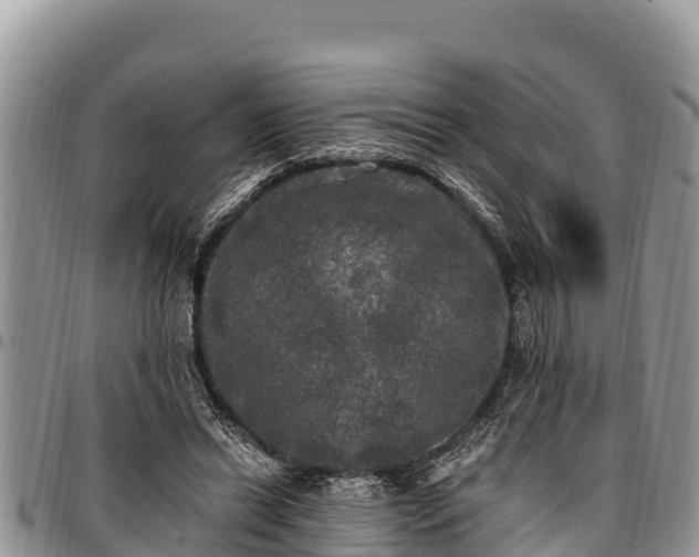 X0000097510446200802291622