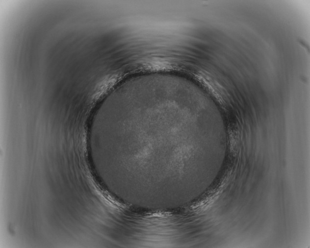 X0000097510447200802291622