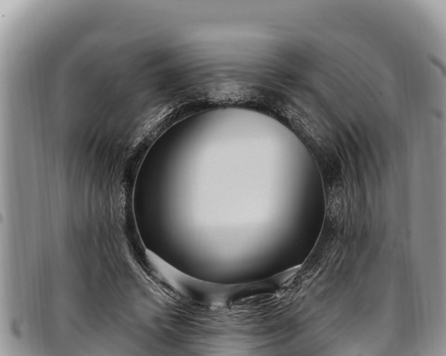 X0000097510448200802291622