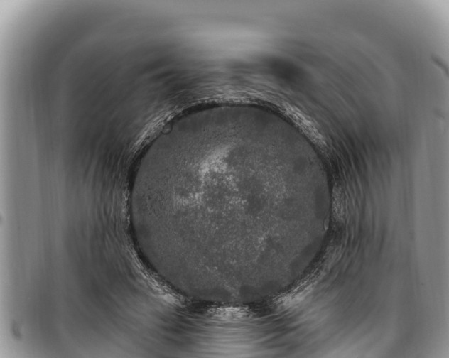 X0000097510449200802291622