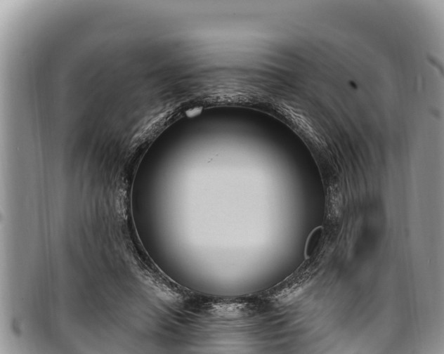 X0000097510450200802291622