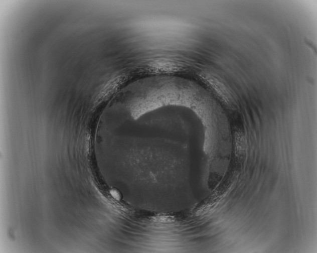 X0000097510451200802291622