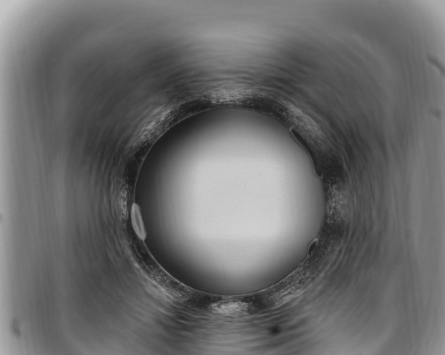 X0000097510452200802291622