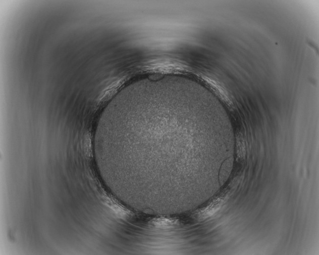 X0000097510453200802291622