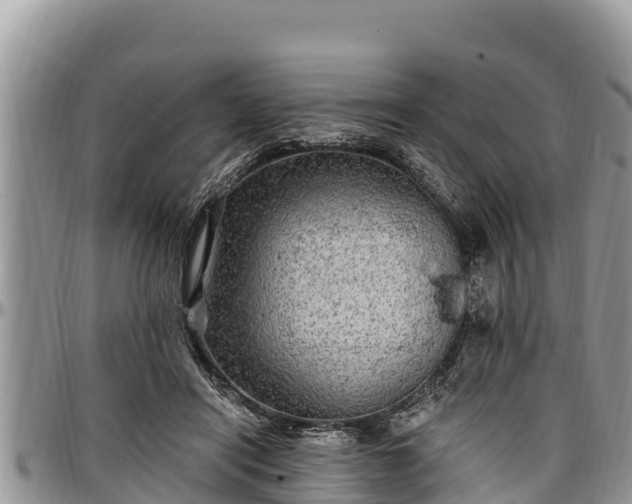 X0000097510454200802291622