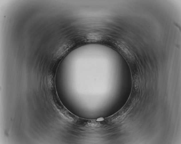 X0000097510455200802291622