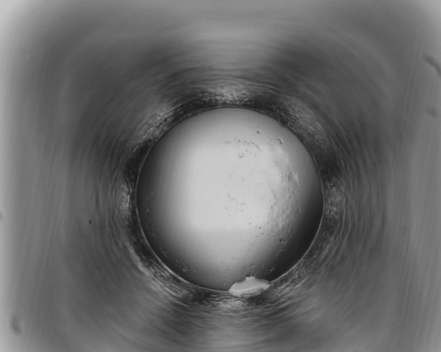 X0000097510456200802291622