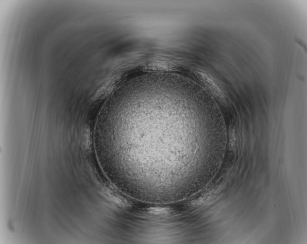 X0000097510457200802291622