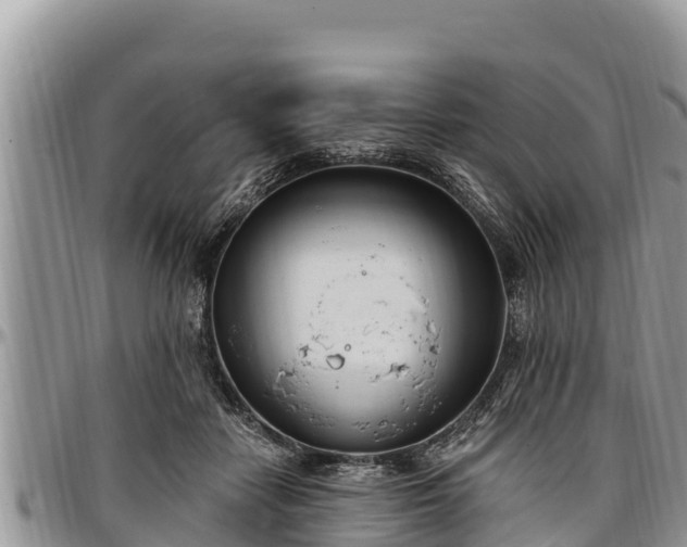 X0000097510458200802291622