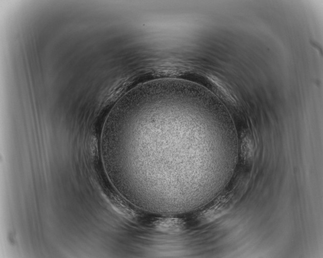 X0000097510459200802291622