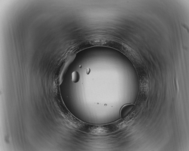 X0000097510460200802291622