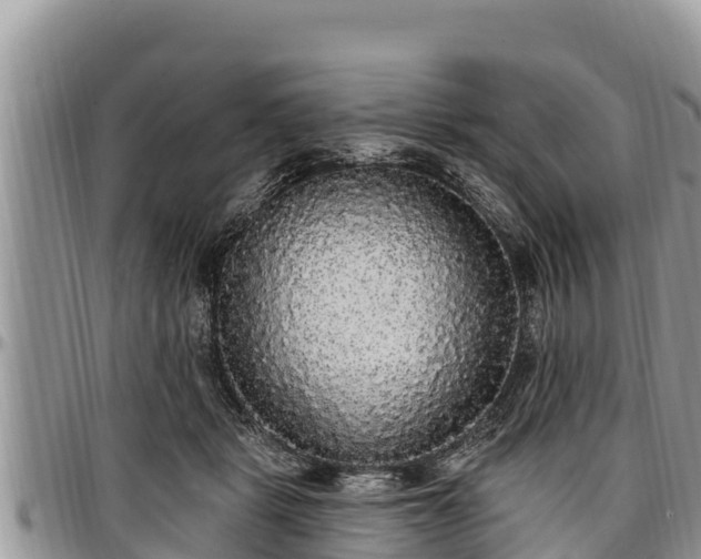 X0000097510461200802291622