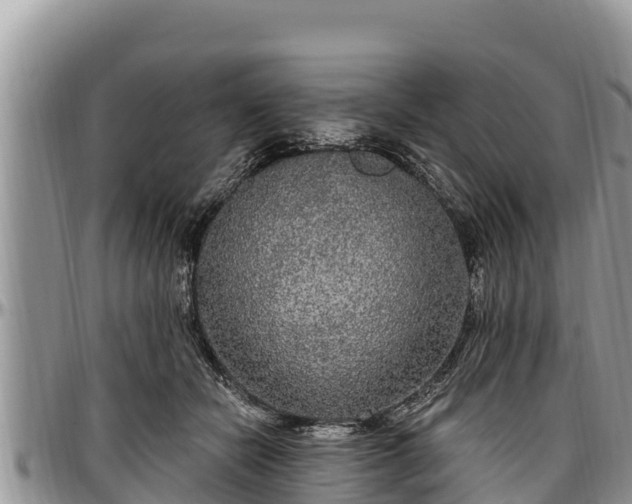 X0000097510462200802291622