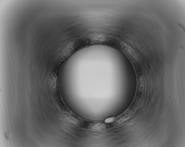 X0000097510463200802291622