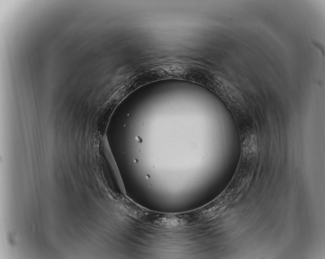 X0000097510464200802291622