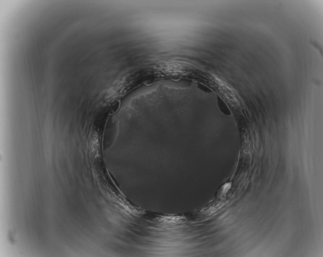 X0000097510465200802291622