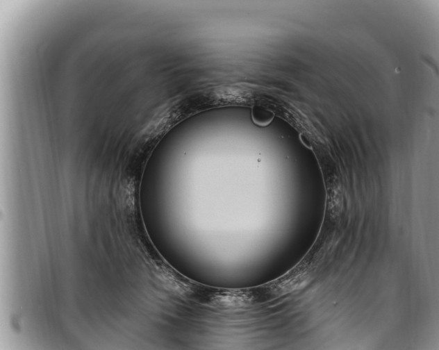 X0000097510466200802291622