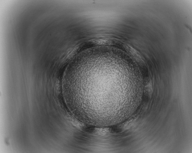 X0000097510469200802291622