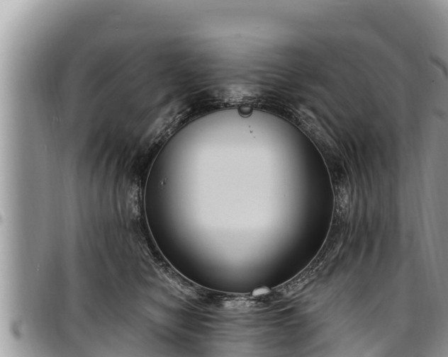 X0000097510470200802291622