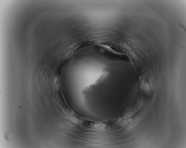 X0000097510471200802291622