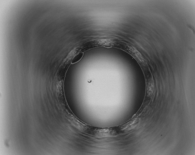 X0000097510473200802291622