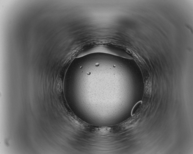 X0000097510474200802291622