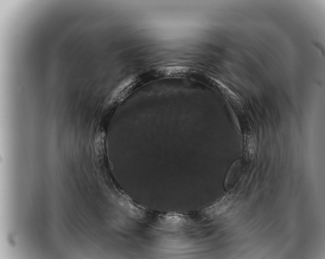 X0000097510475200802291622