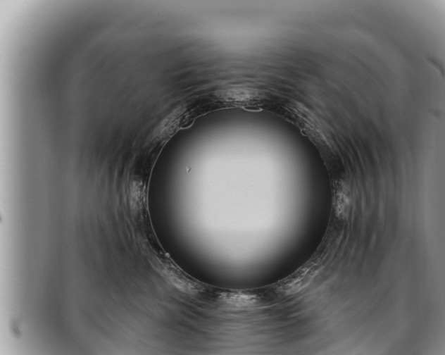 X0000097510476200802291622