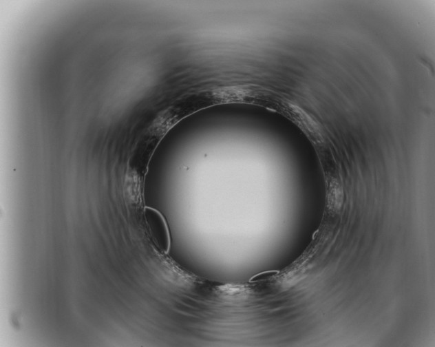 X0000097510477200802291622