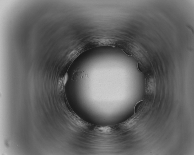 X0000097510478200802291622