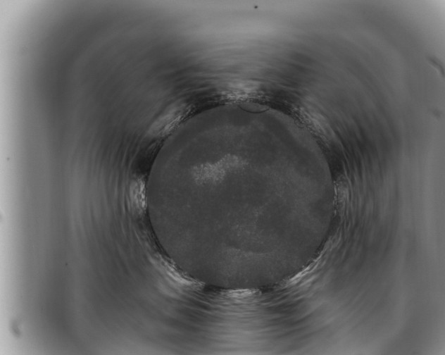 X0000097510479200802291622