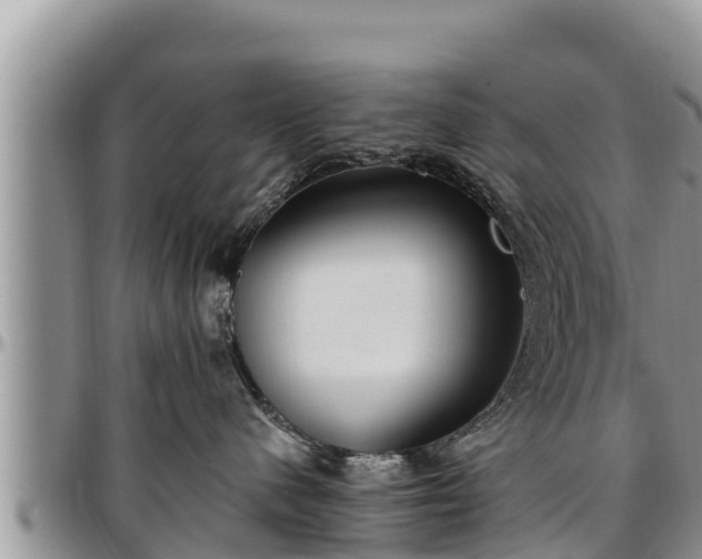 X0000097510480200802291622