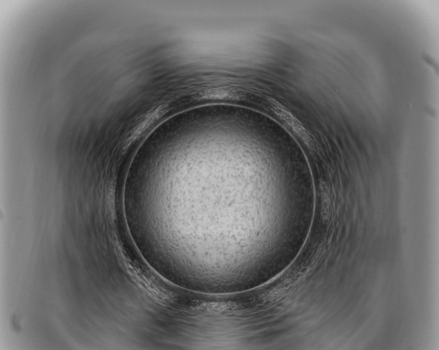 X0000097510482200802291622