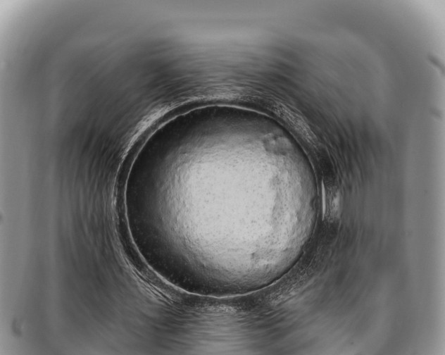 X0000097510483200802291622