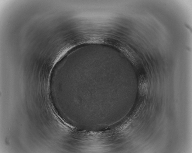 X0000097510484200802291622