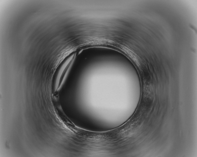 X0000097510485200802291622