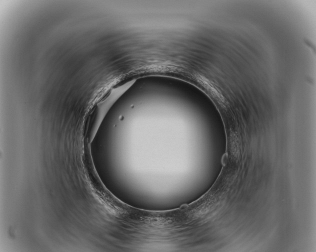 X0000097510486200802291622